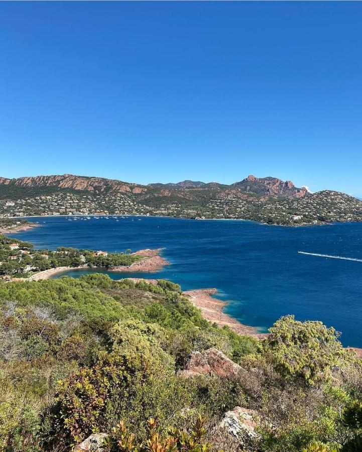 Cannes - Appartement Cosy Et Lumineux Ngoại thất bức ảnh